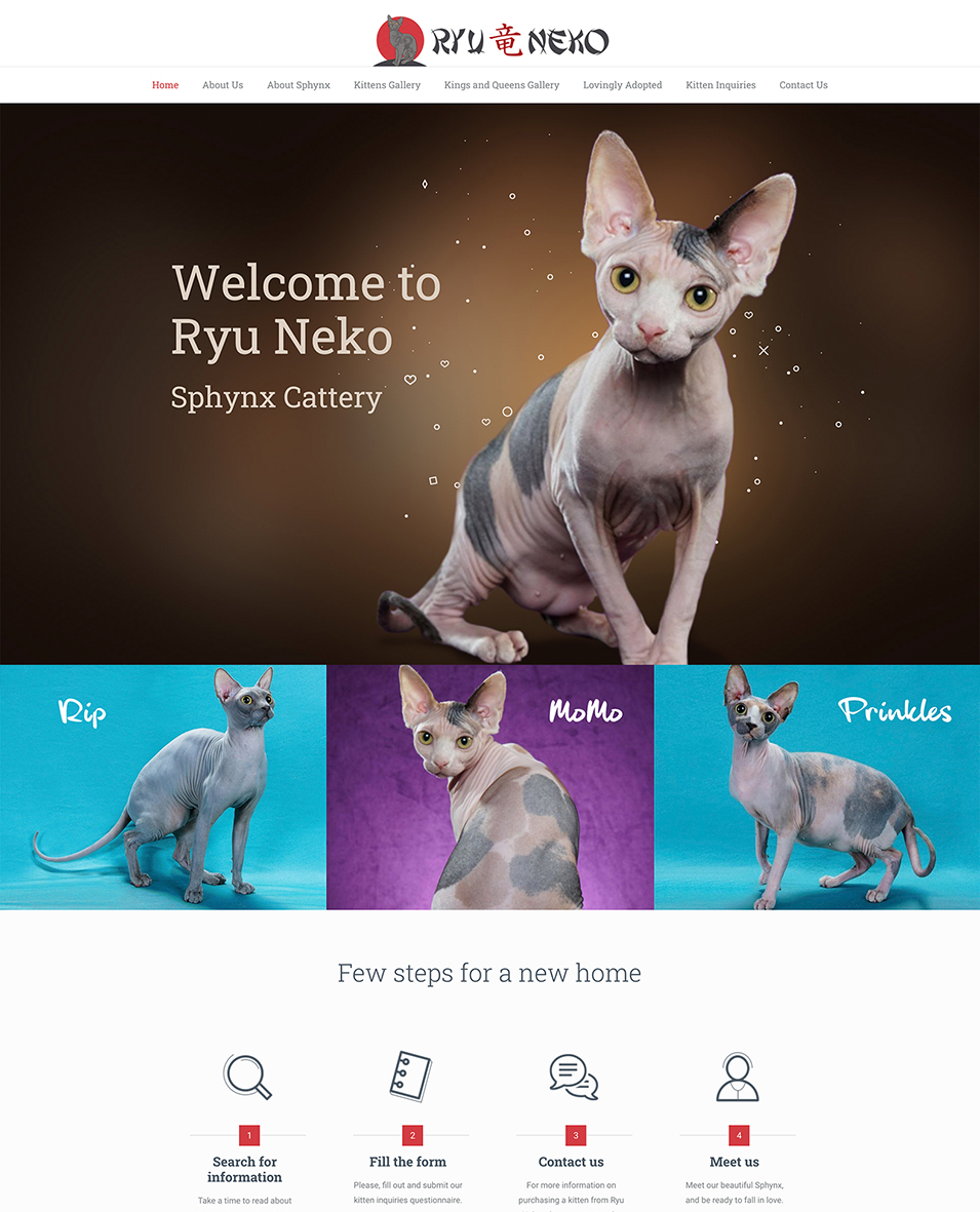sphynx cat for sale graphic design website
