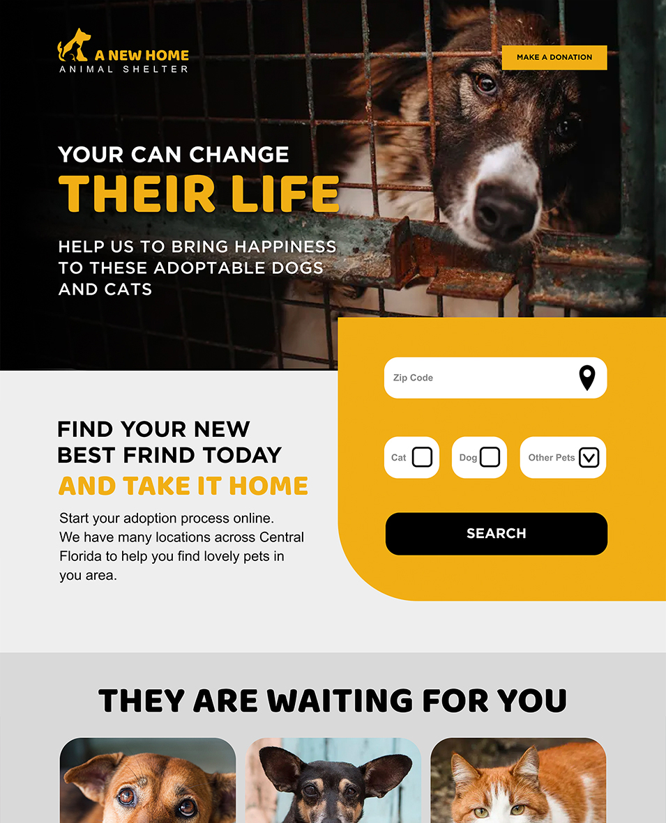 web design for animal shelter non-profit organization