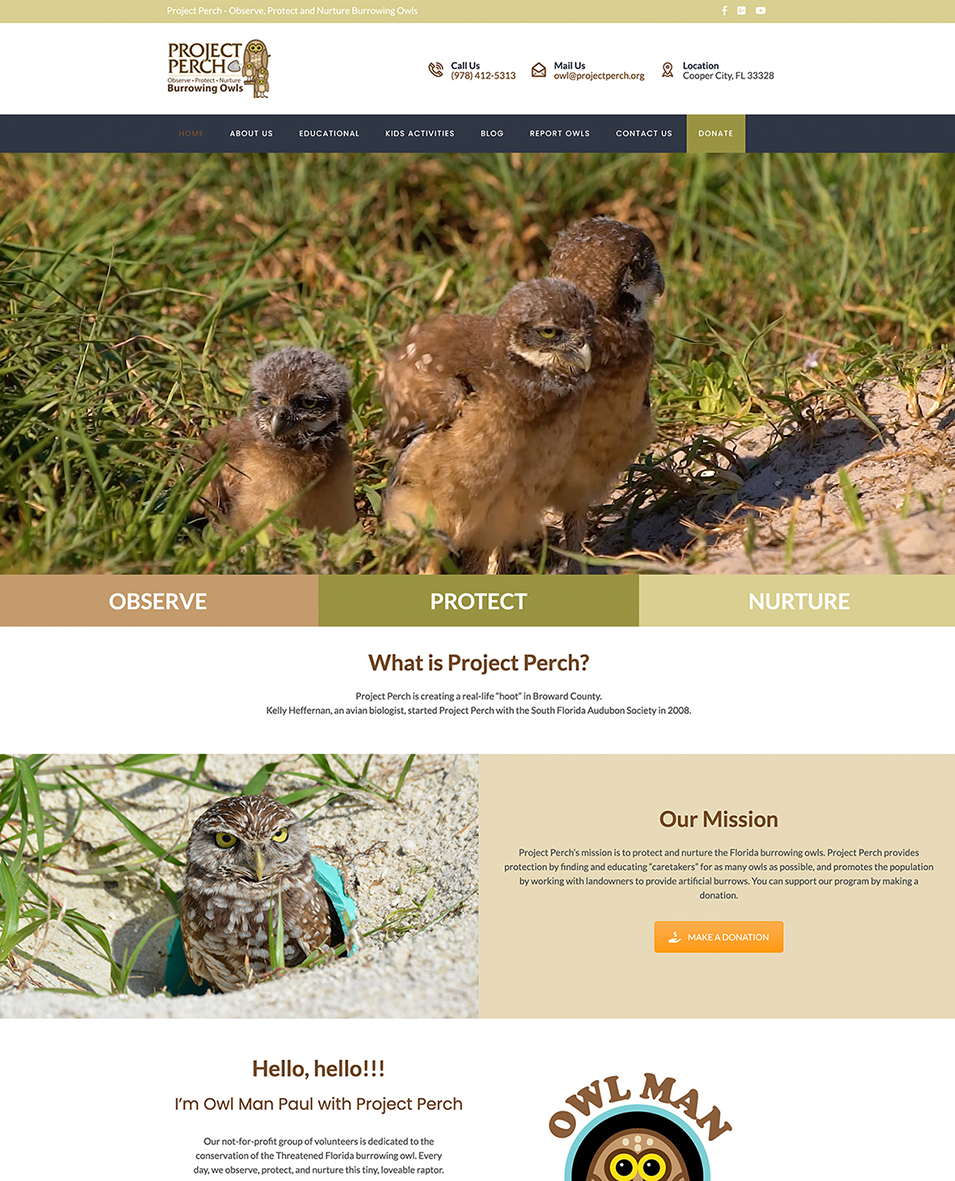 web design for a nonprofit that cares about burrowing owls in florida
